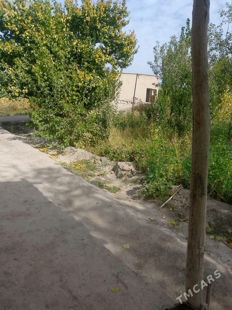 satlyk jay - Gubadag - img 9