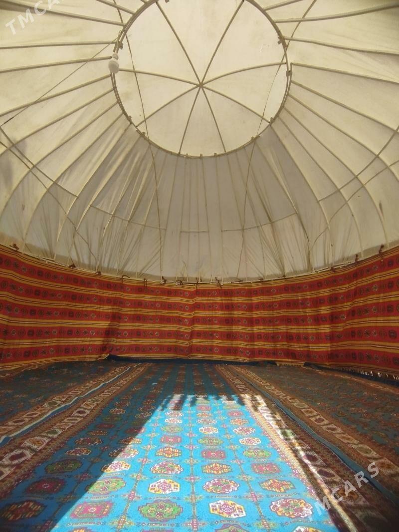 GARA OY - Sakarçäge - img 4