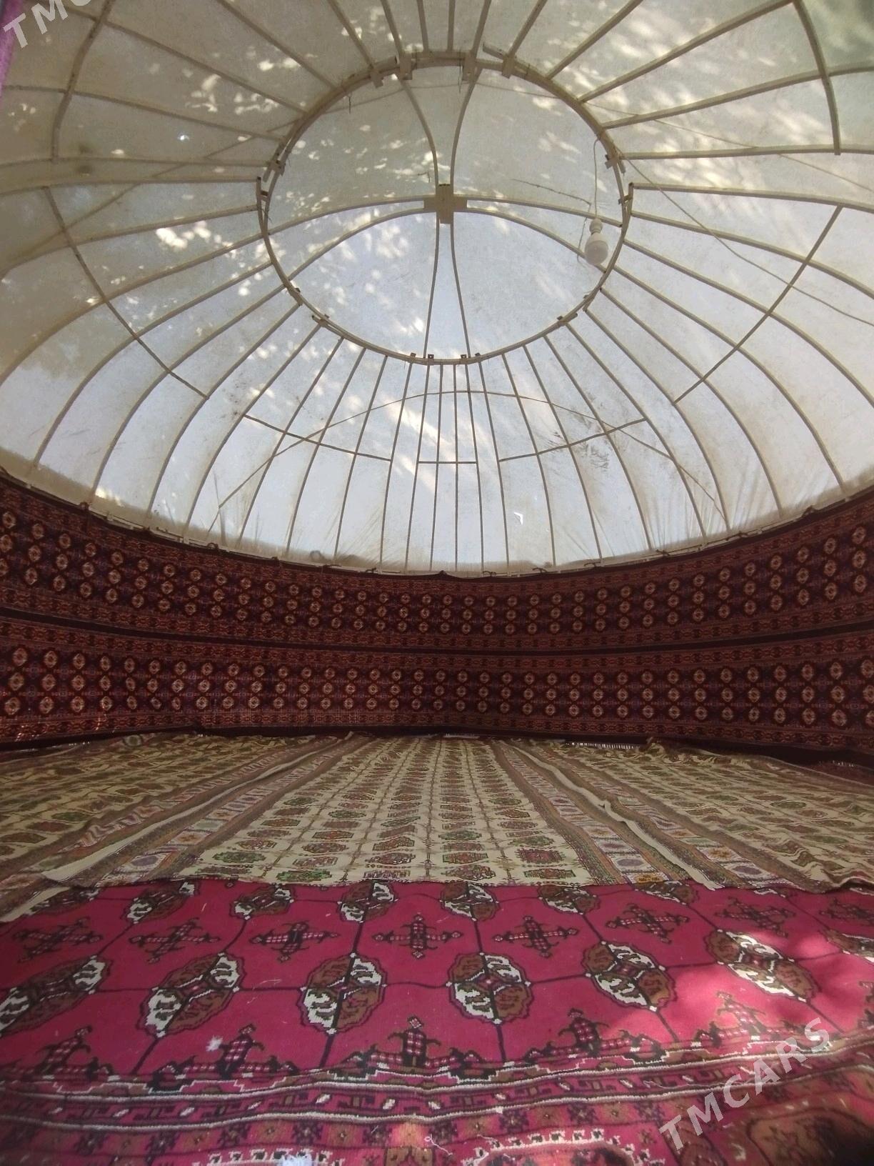 GARA OY - Sakarçäge - img 2