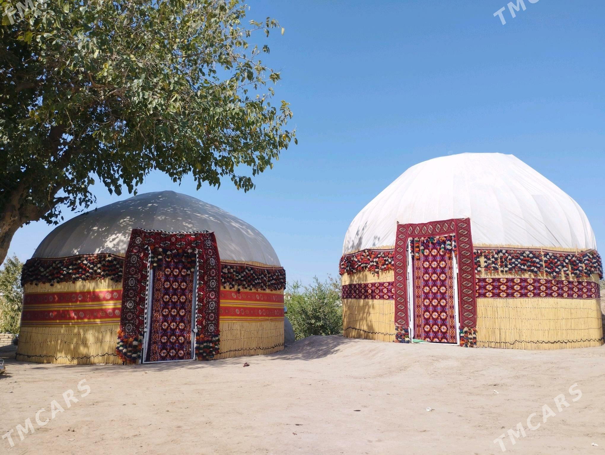 GARA OY - Sakarçäge - img 1