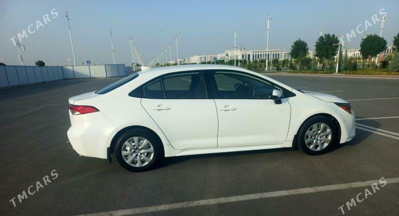 Toyota Corolla 2020 - 220 000 TMT - Gökdepe - img 3