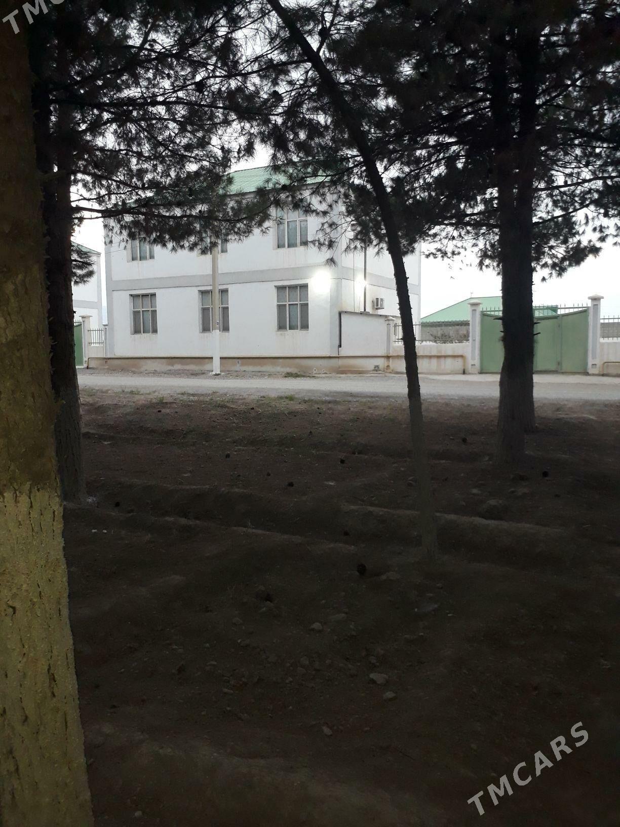 GÖKDEPE SATLYK KATEŽ - Gökdepe - img 2