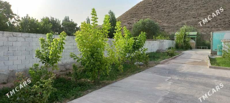 hywat daça - Kaka - img 3