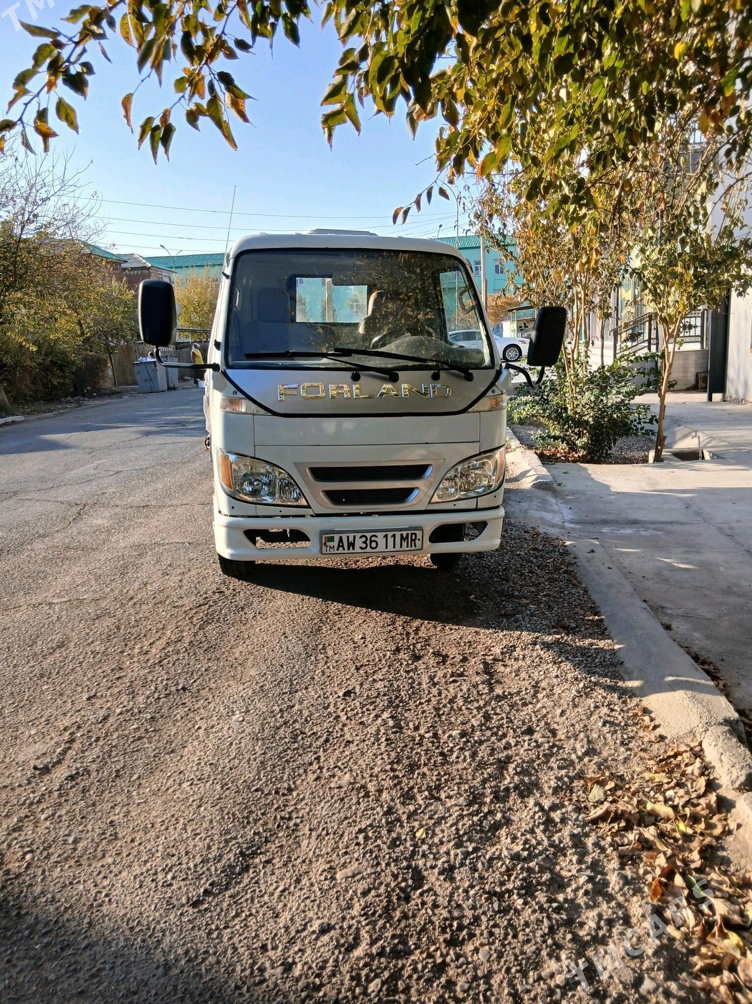 Forland H2 2008 - 84 000 TMT - Mary - img 1