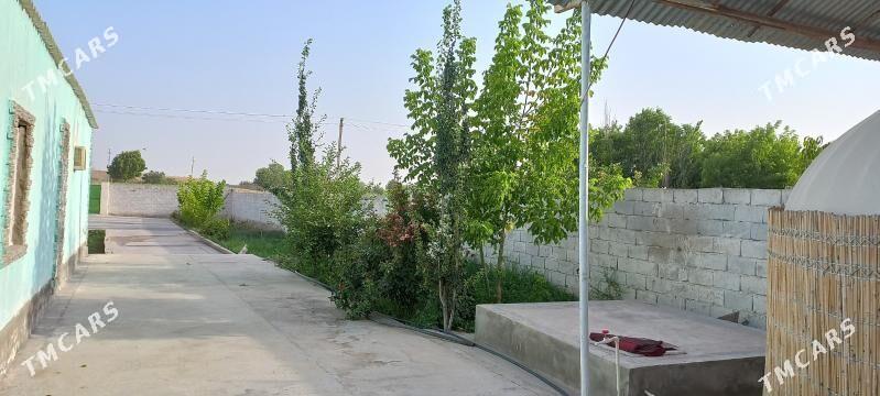 hywat daça - Kaka - img 4