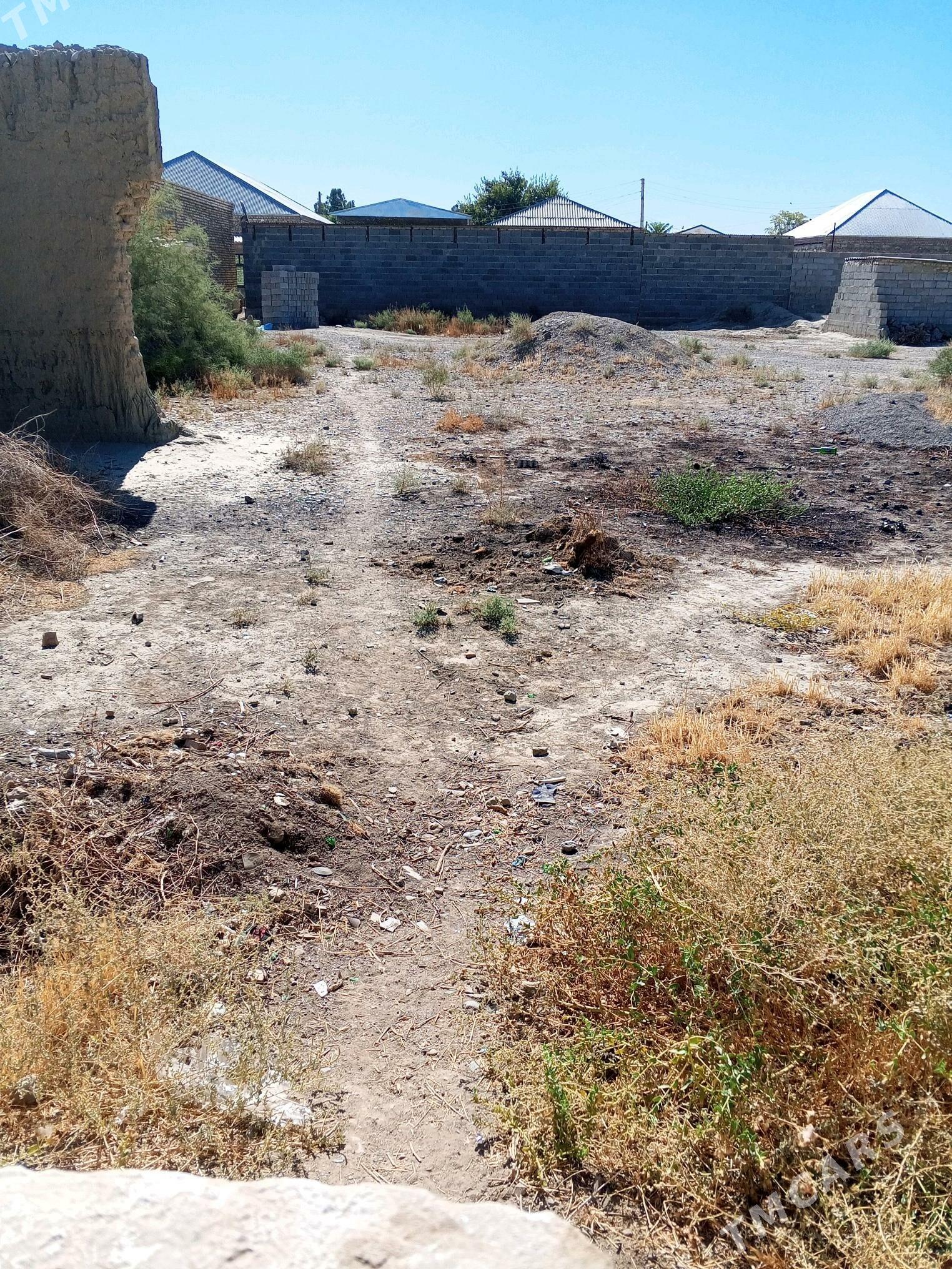 satlyk yer - Bäherden - img 1