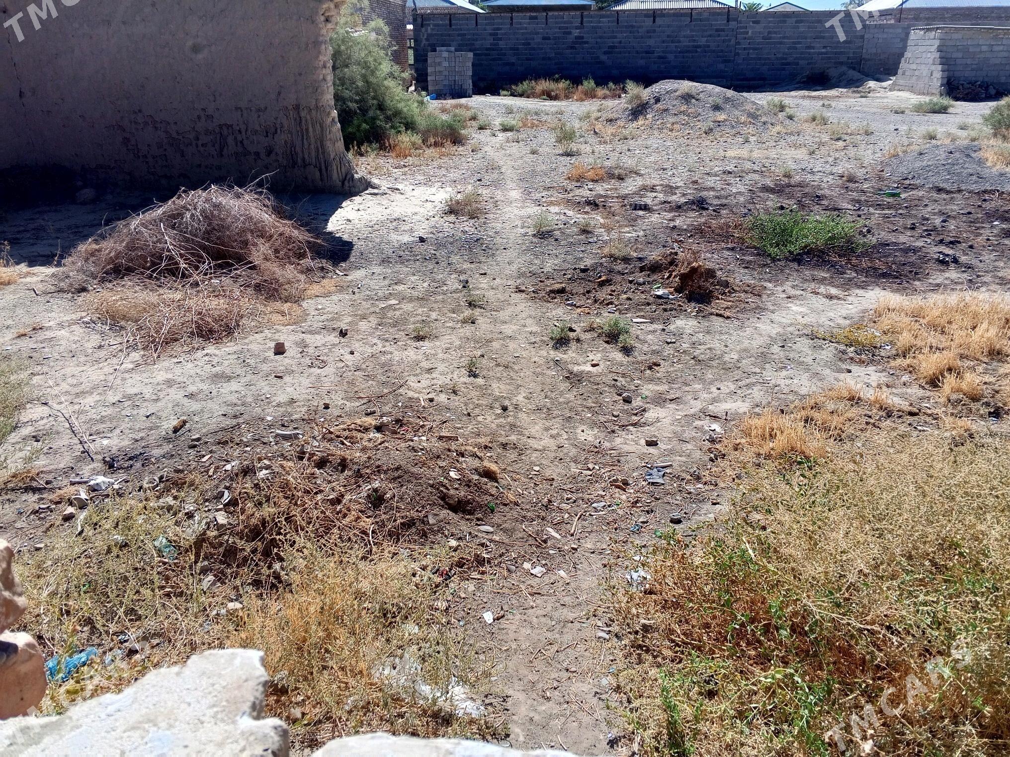 satlyk yer - Bäherden - img 2