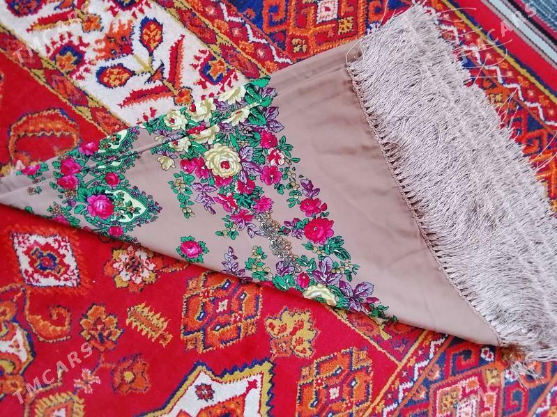 pota - Daşoguz - img 2