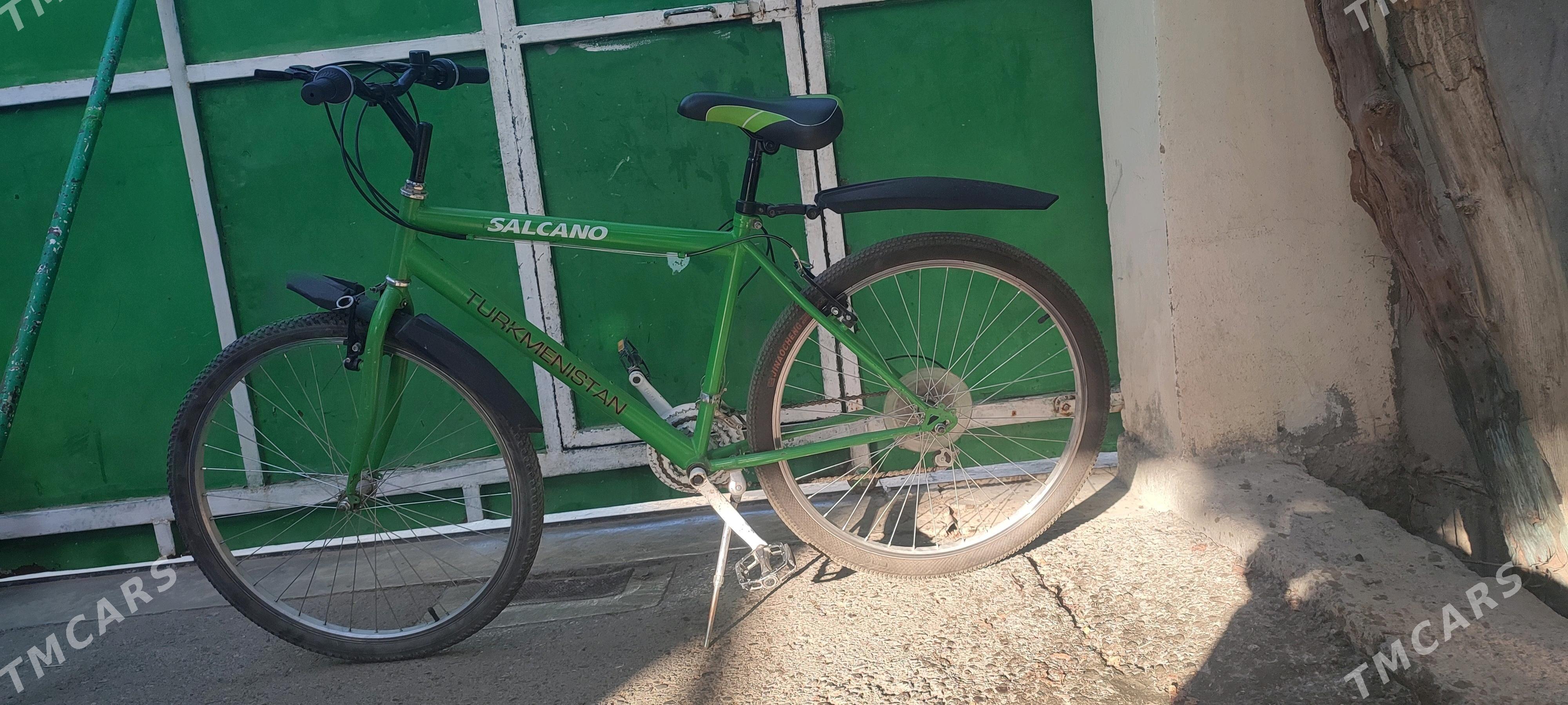 tigir obmen abmen 26lyk uly - Bedew - img 2