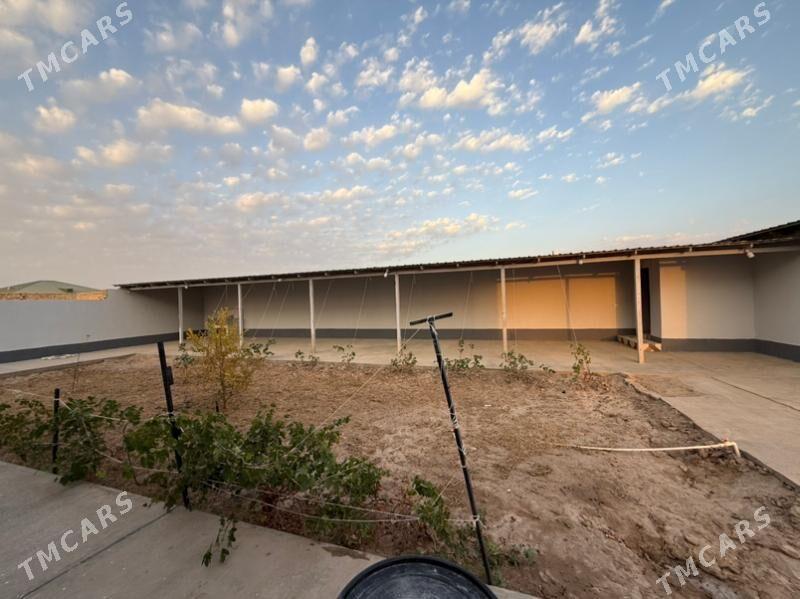 jay жай - Daşoguz - img 8