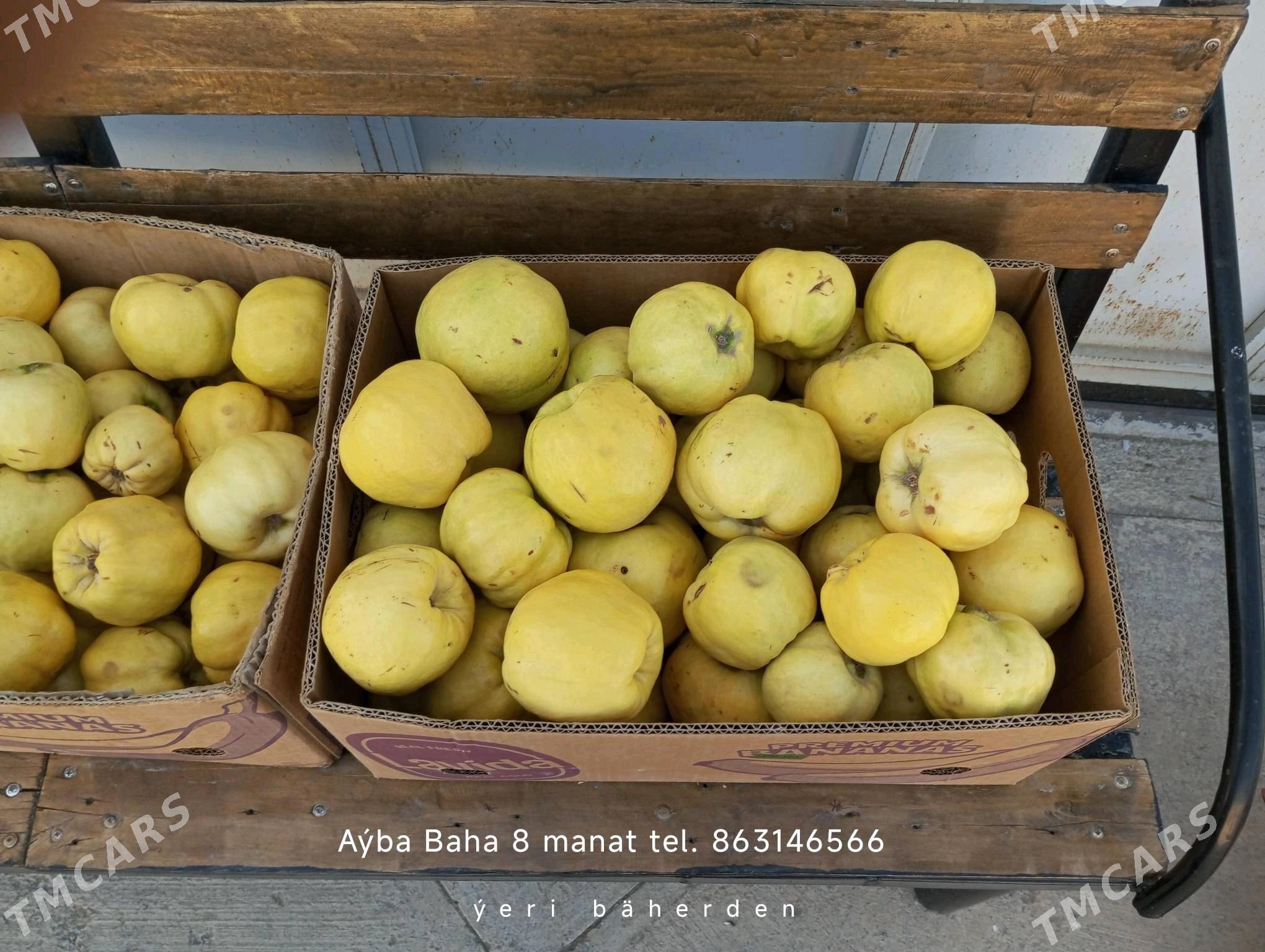 aýwa - Bäherden - img 1