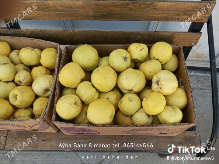 aýwa - Bäherden - img 2