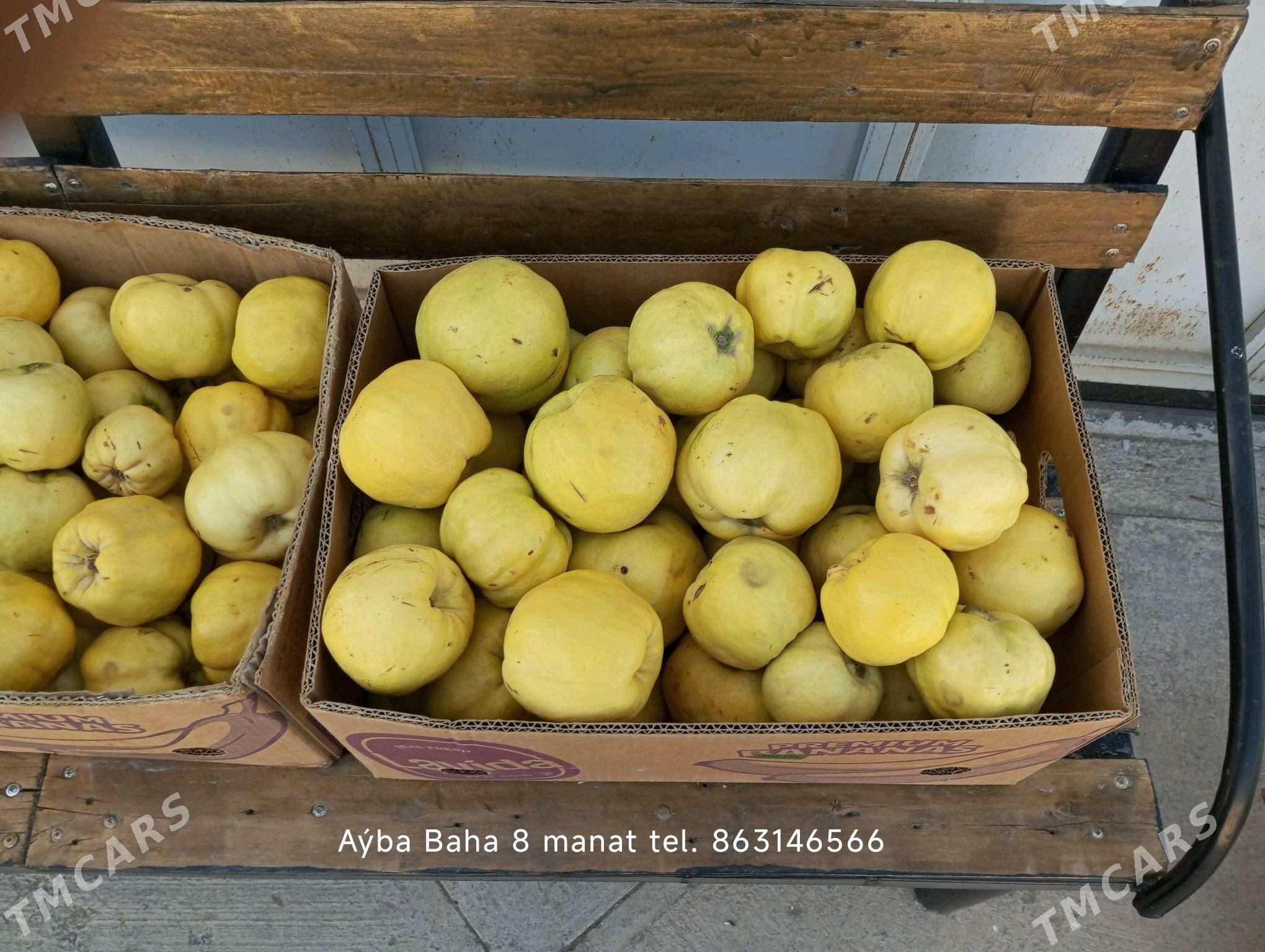 aýwa - Bäherden - img 5