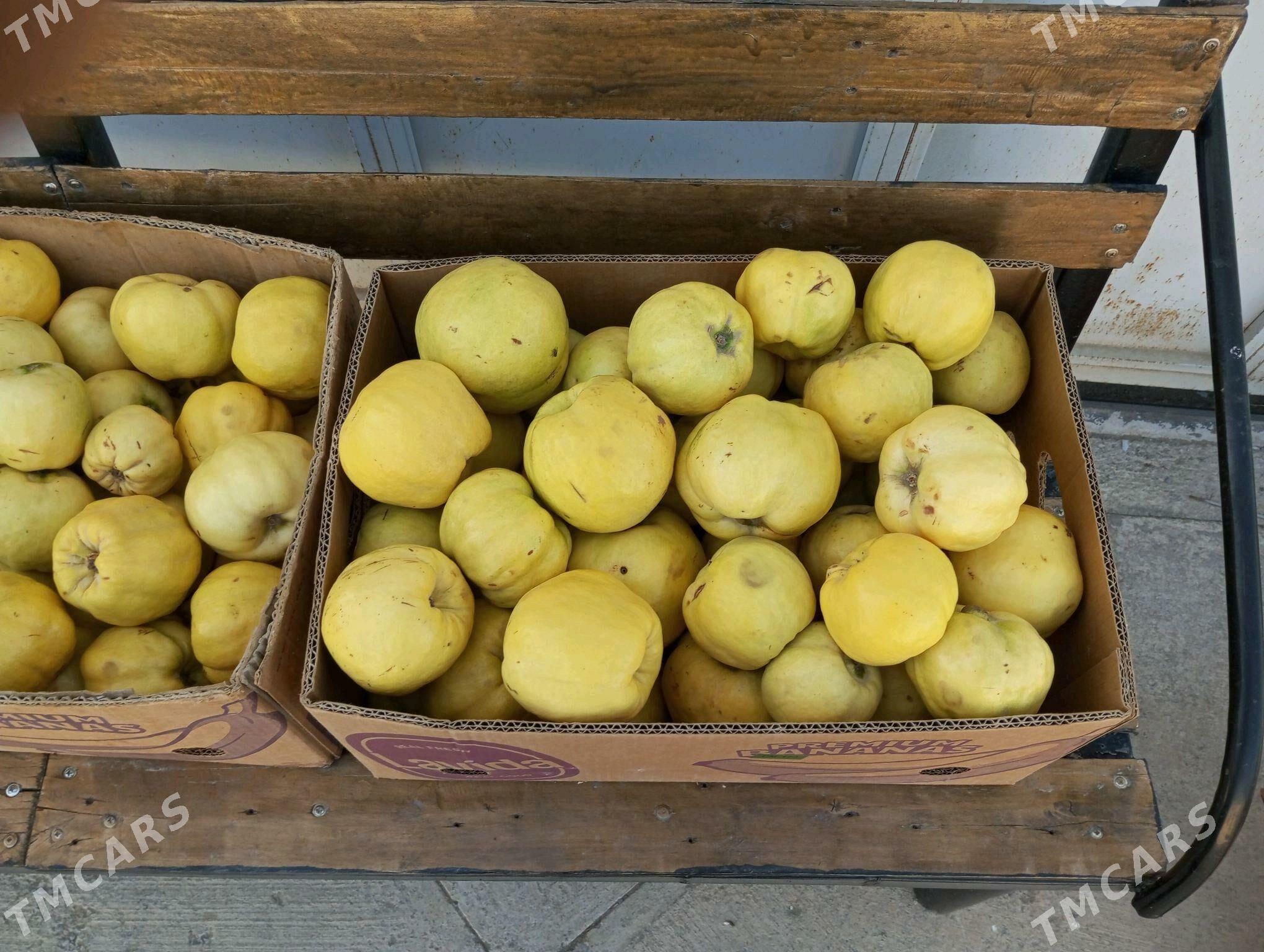 aýwa - Bäherden - img 4