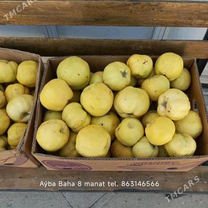 aýwa - Bäherden - img 3