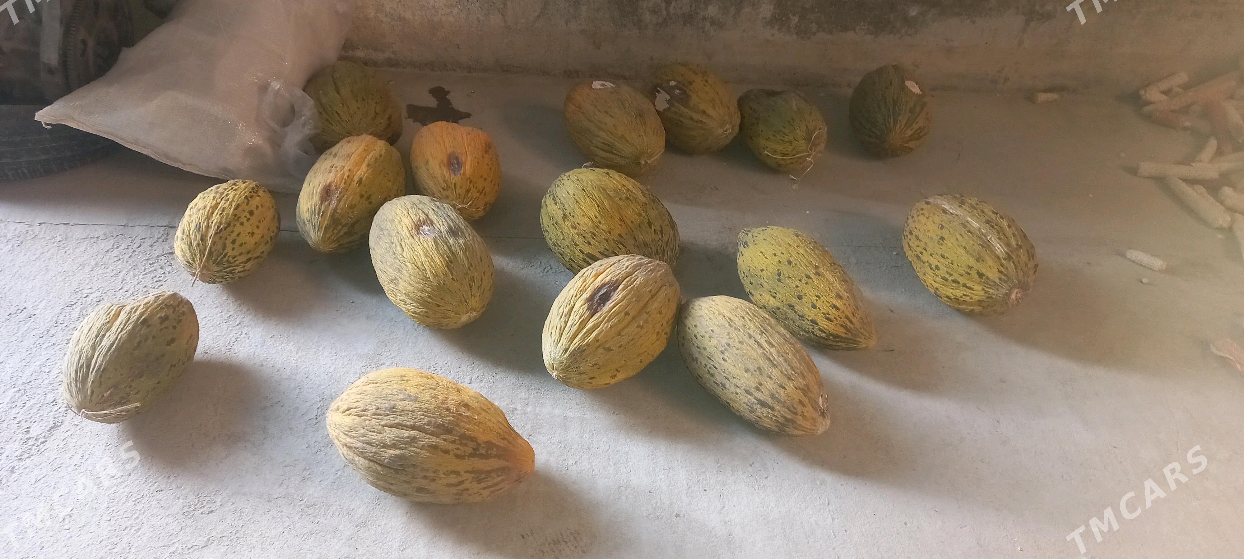 Kadi - Aşgabat - img 1