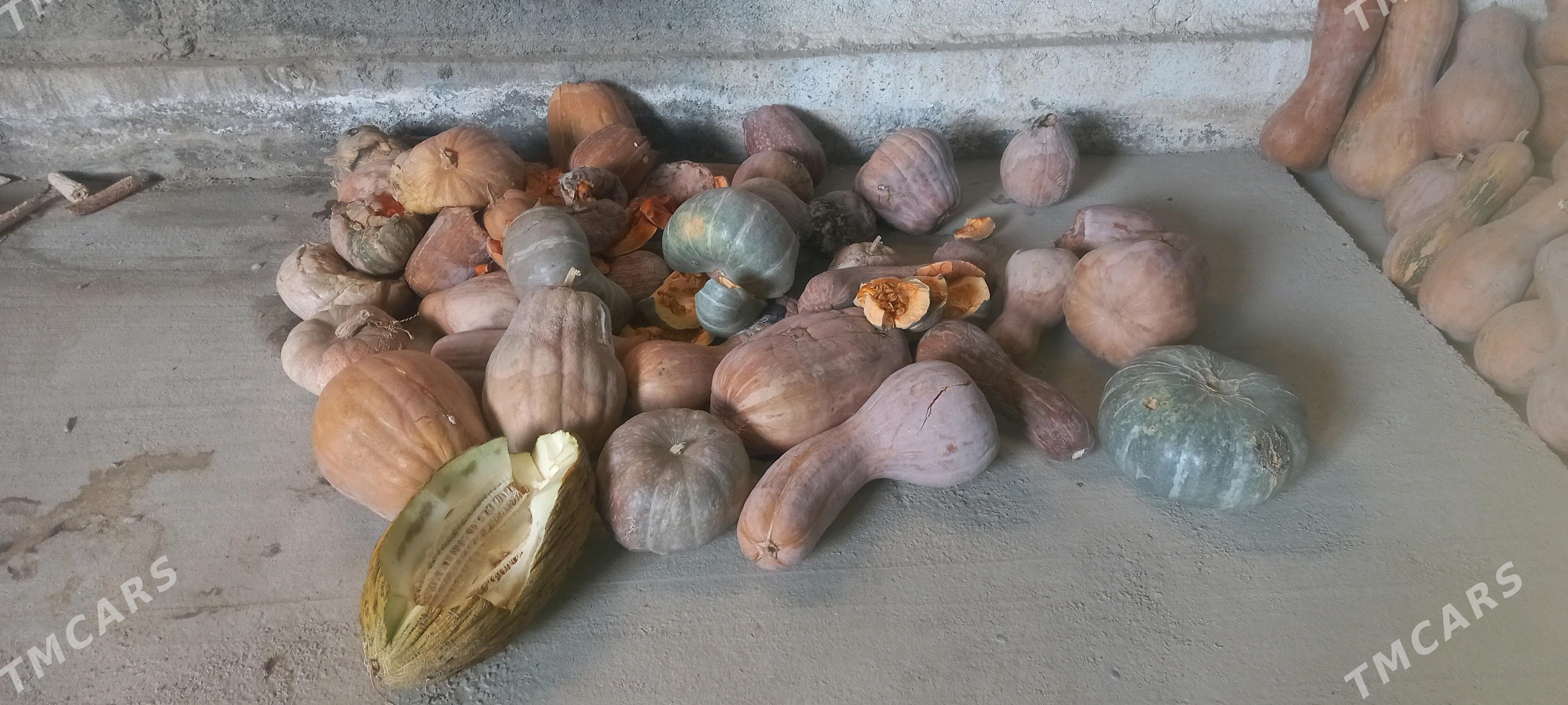 Kadi - Aşgabat - img 2