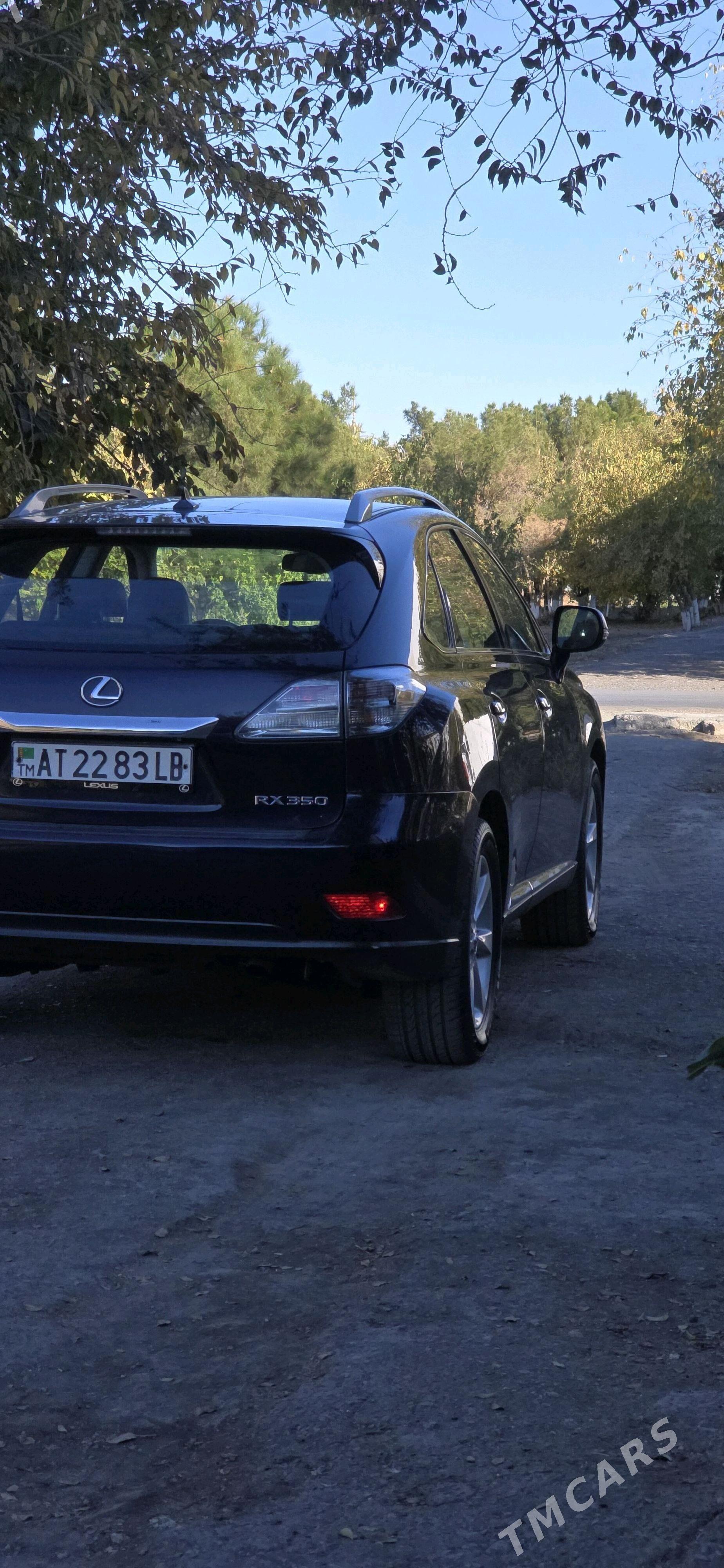 Lexus RX 350 2010 - 315 000 TMT - Türkmenabat - img 2