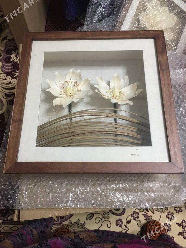 heykel at guš sagat - 30 mkr - img 5