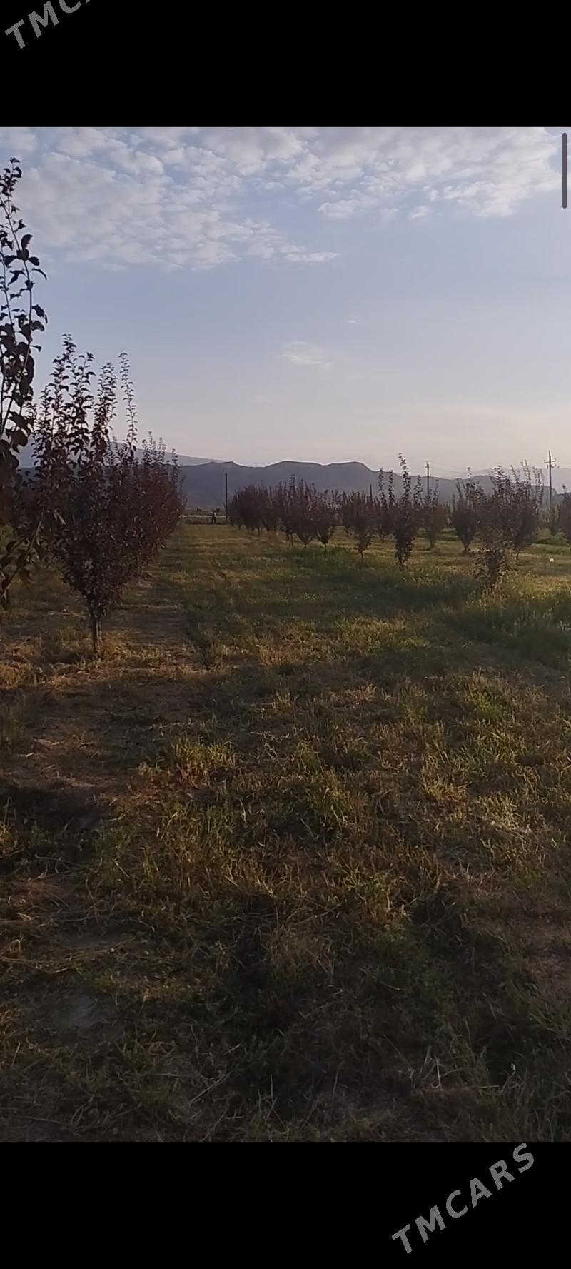 Ekin yer yangala obasy - Гёкдепе - img 2