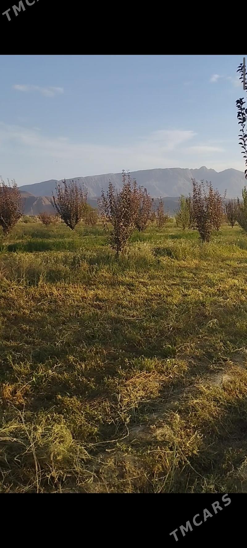 Ekin yer yangala obasy - Гёкдепе - img 1