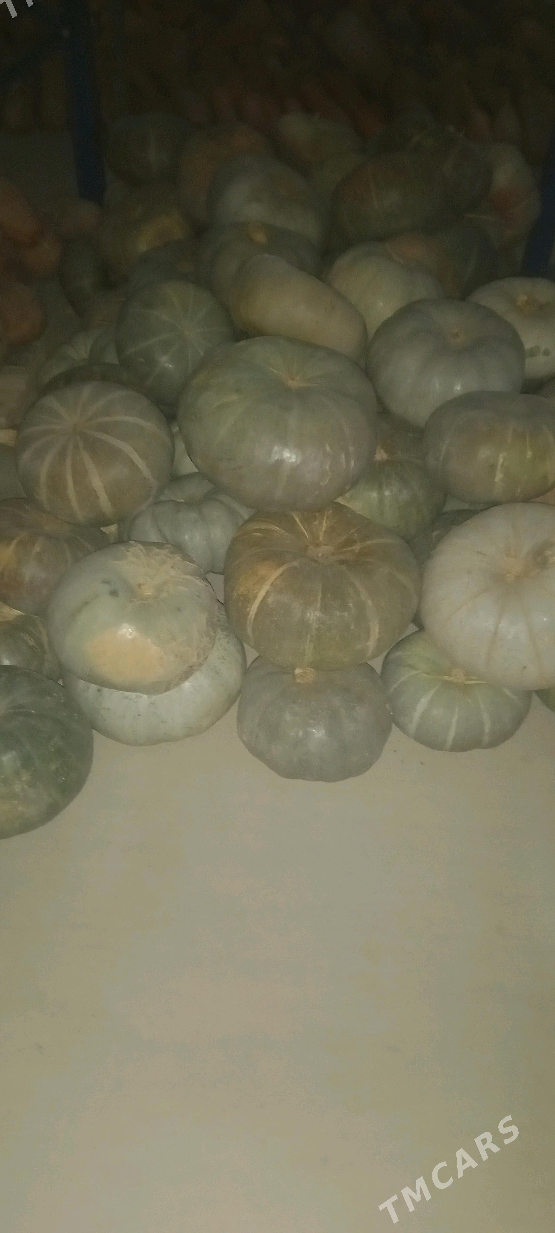 Kadi - Ашхабад - img 3