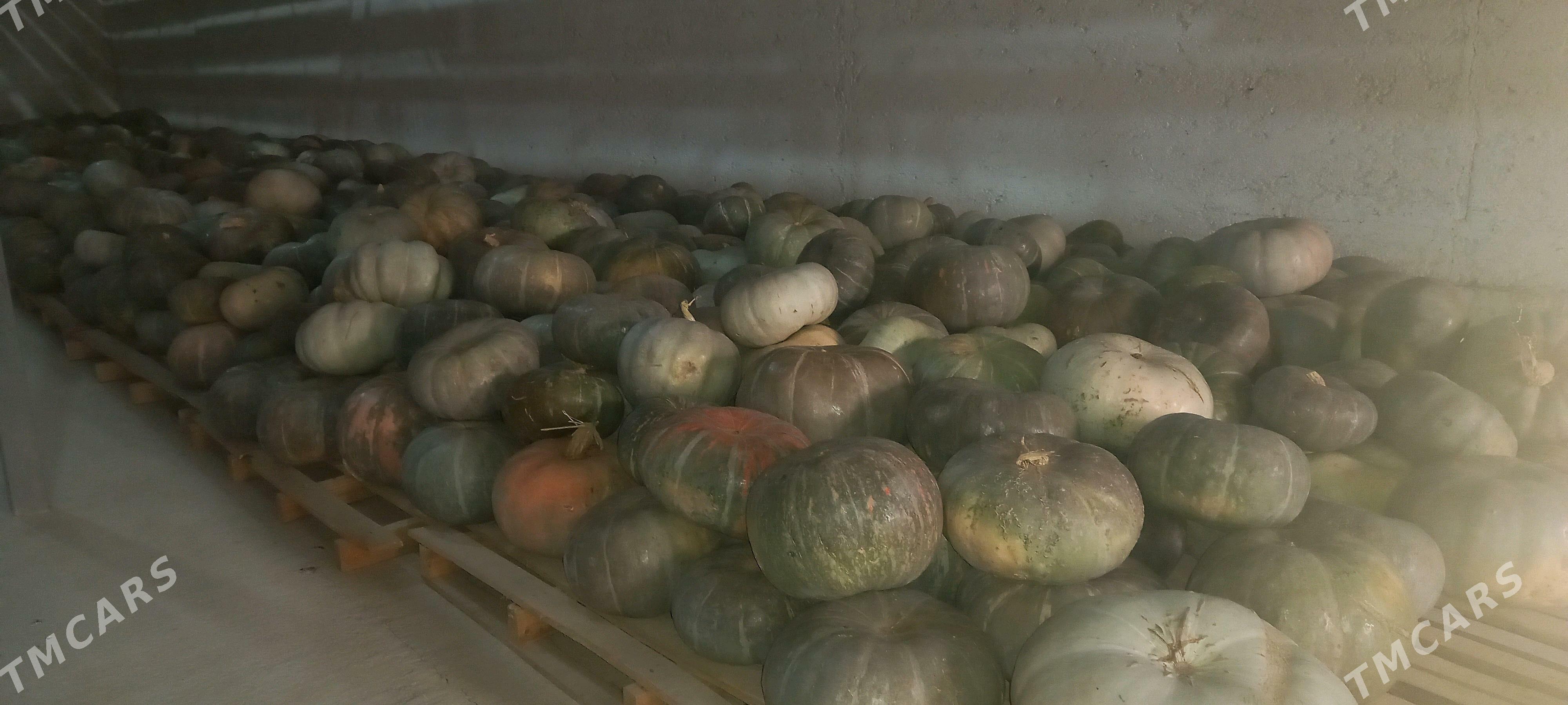 Kadi - Ашхабад - img 1