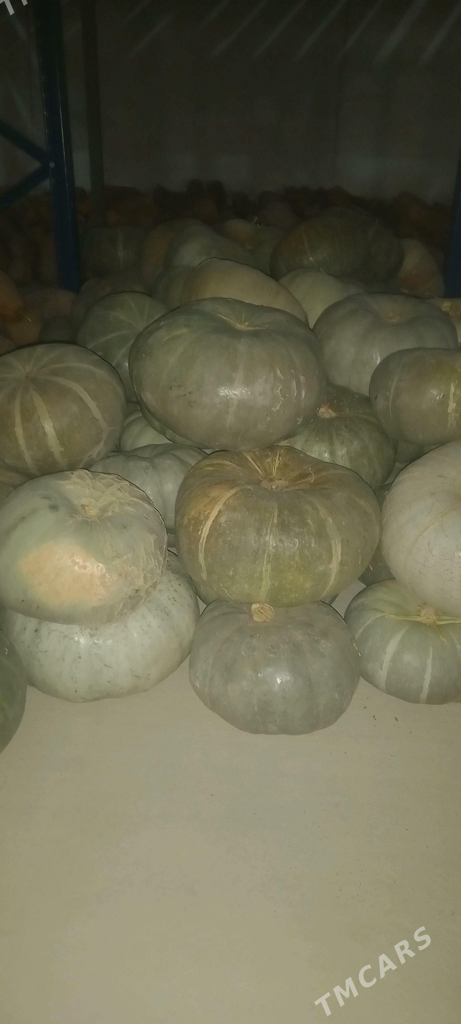 Kadi - Ашхабад - img 2