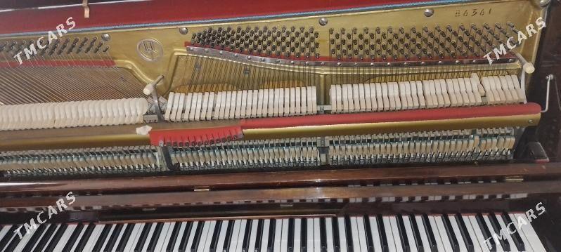 fortapiano - Howdan "W" - img 3