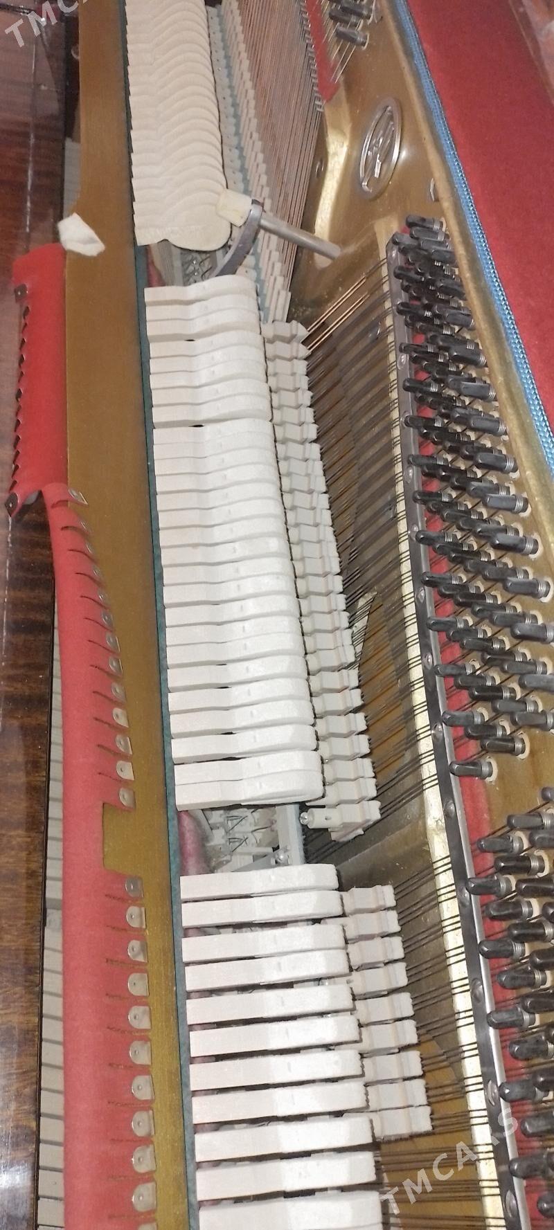 fortapiano - Howdan "W" - img 4