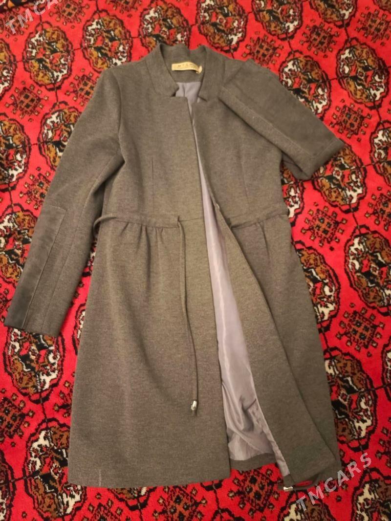 kastyum - Daşoguz - img 2