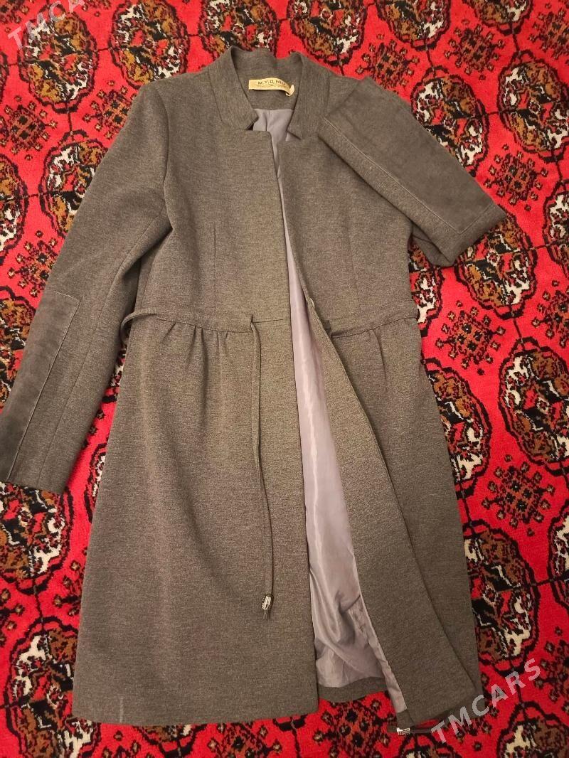 kastyum - Daşoguz - img 1