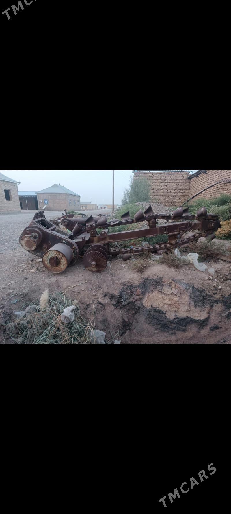 Joya gazyan - Sarahs - img 1