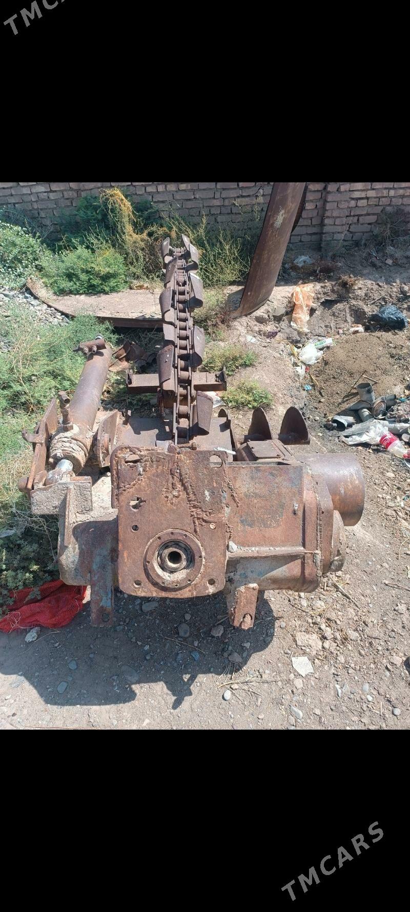 Joya gazyan - Sarahs - img 3