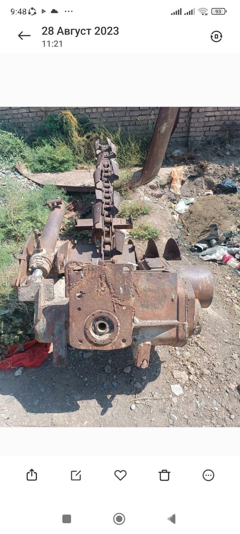 Joya gazyan - Sarahs - img 2