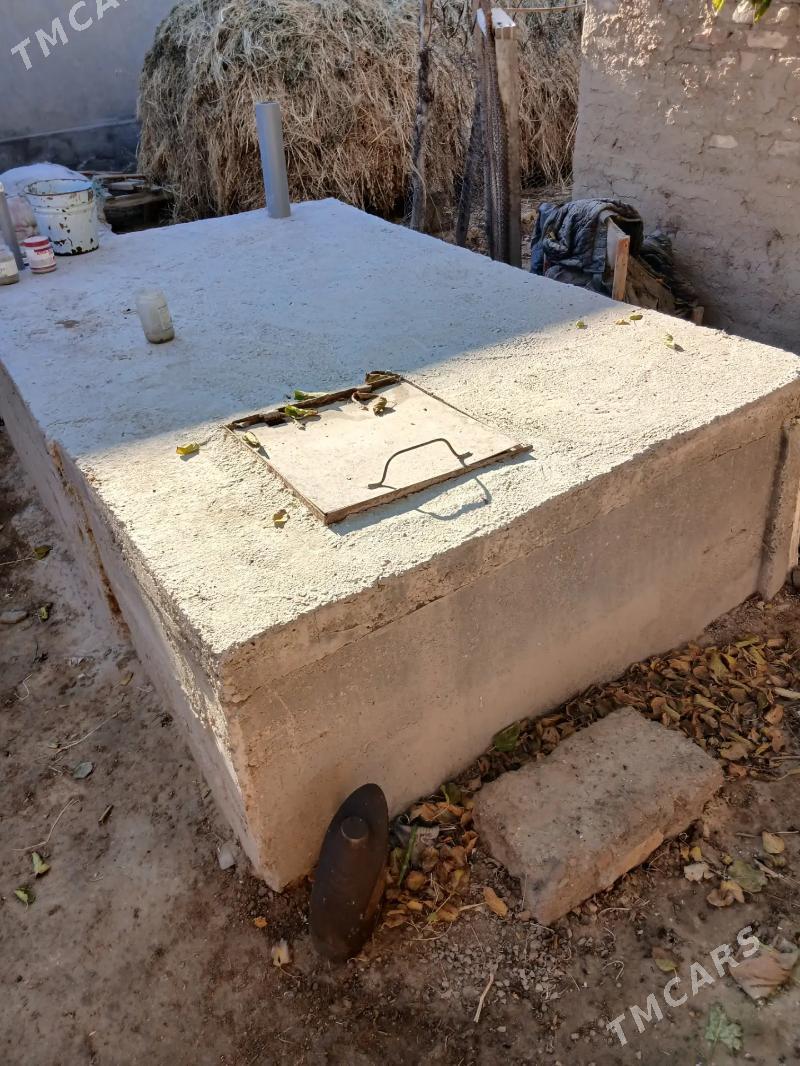 gres mucurin daca - Mary - img 2