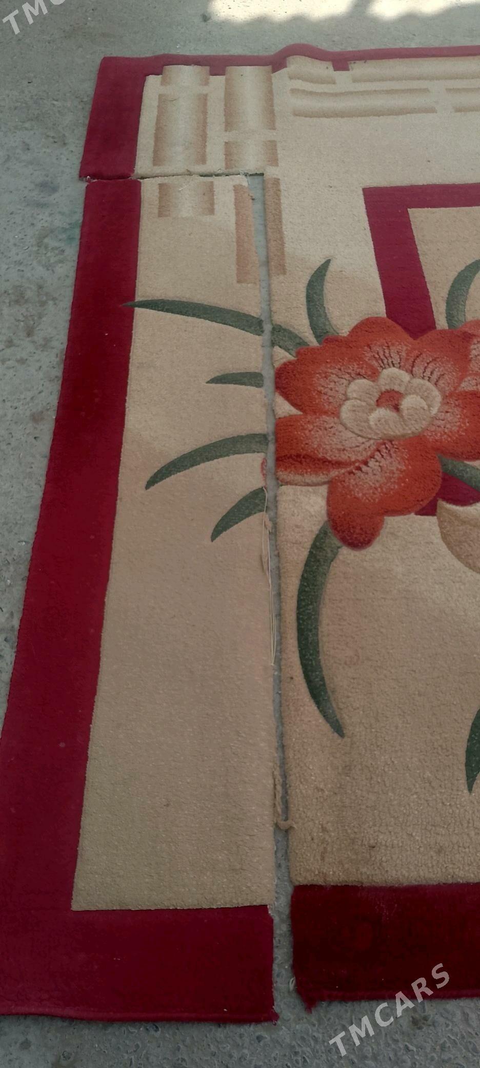 haly - Aşgabat - img 3