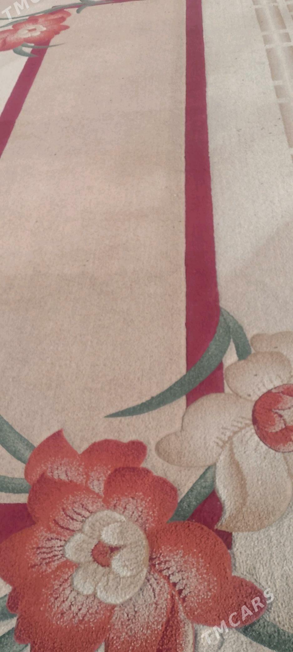 haly - Aşgabat - img 1