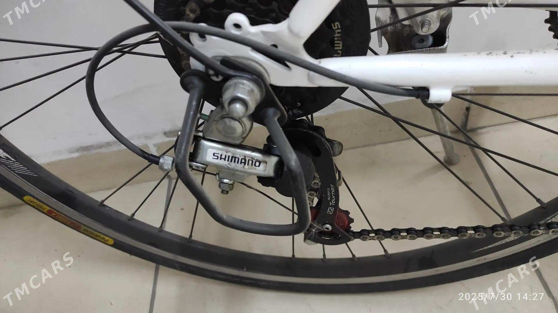 Tigir Original Spartiwnyy - Ашхабад - img 8