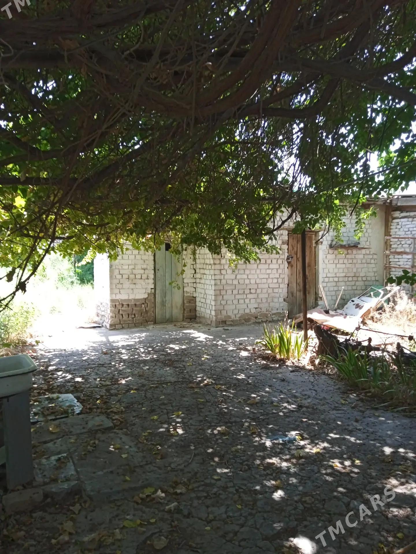 ANEW PLAN  JAY A6 SOTOK - Анев - img 4