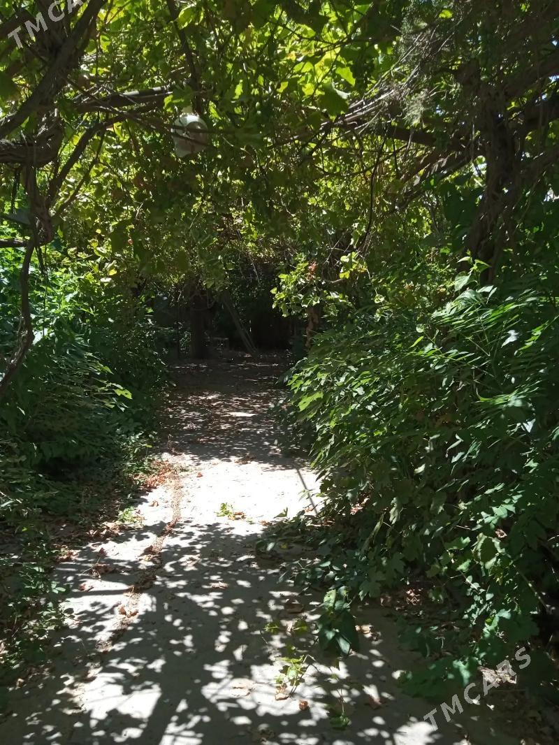 ANEW PLAN  JAY A6 SOTOK - Анев - img 3