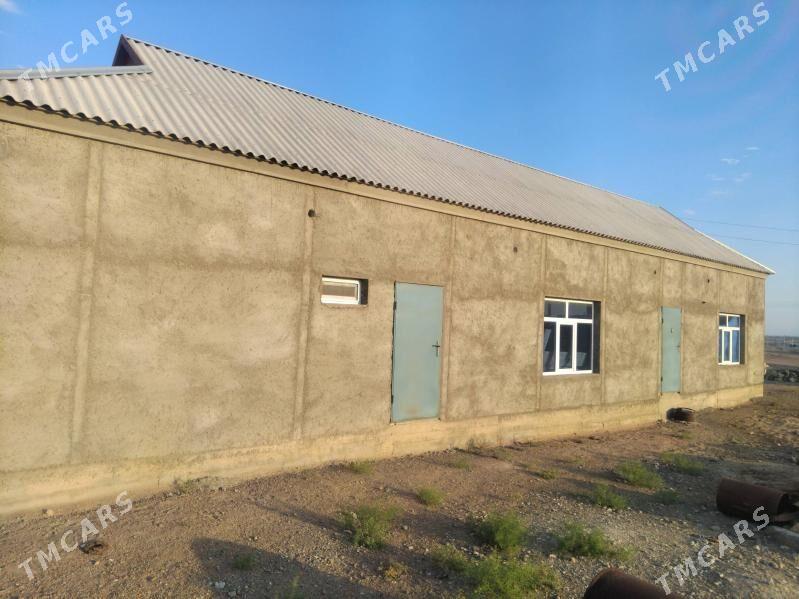 jay - Türkmenbaşy - img 1