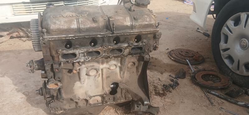 Mator 1 000 TMT - Çoganly - img 2