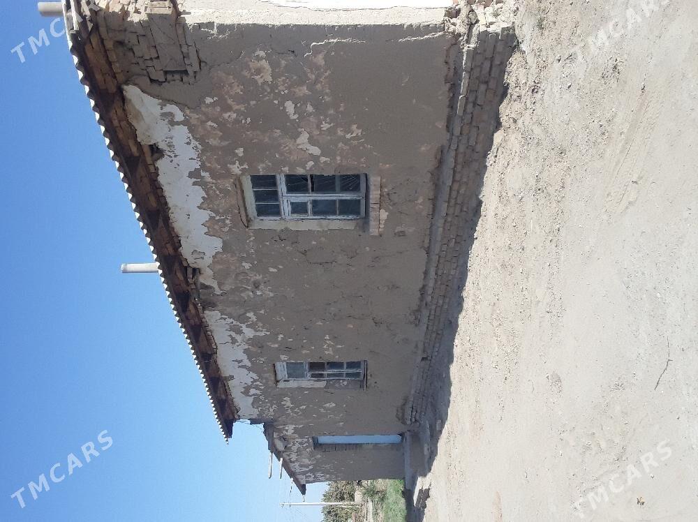 Turkmengala jay - Türkmengala - img 5