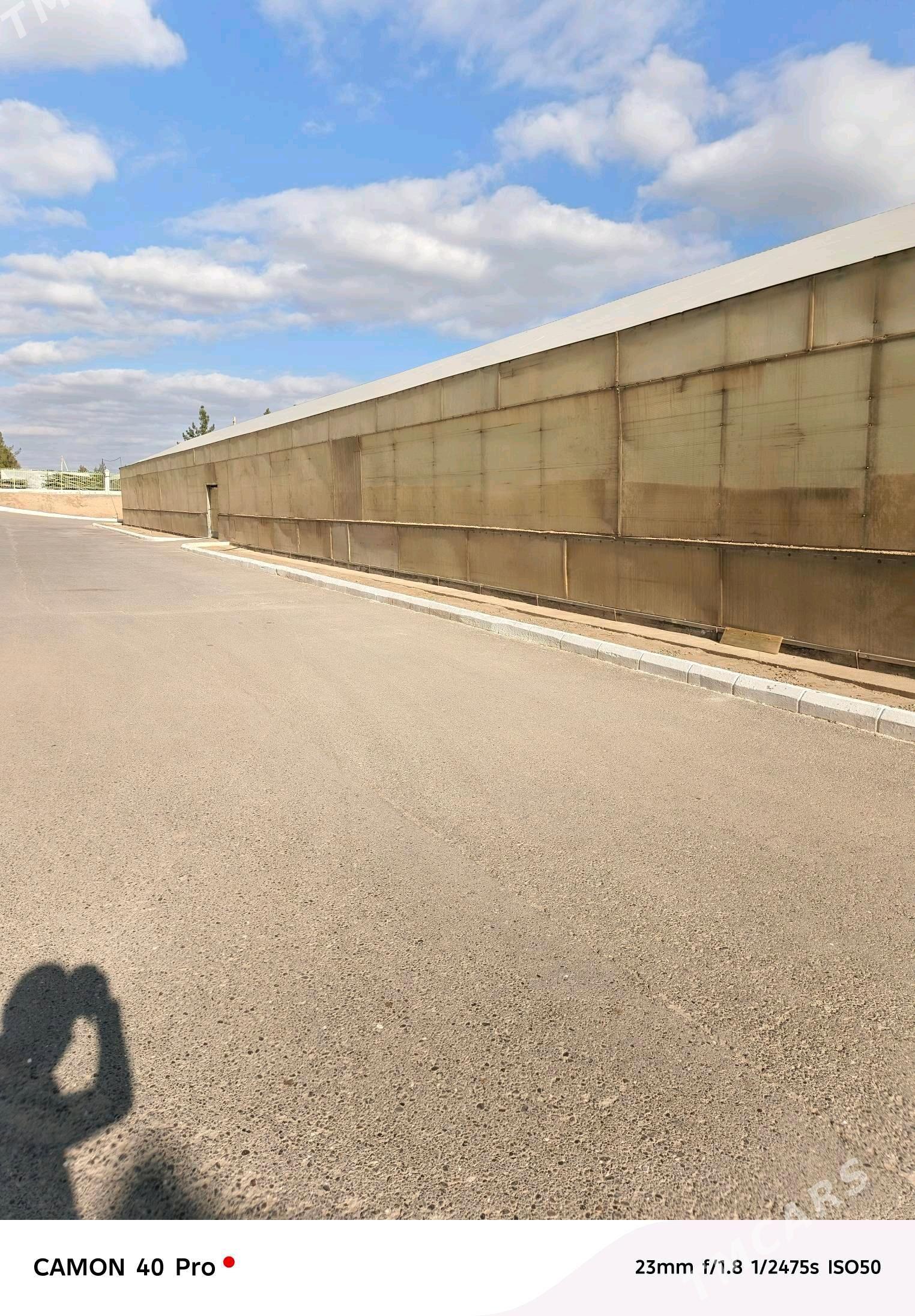 ISGAR OGLAN GYZ GELIN ALYAS - Gökje - img 1