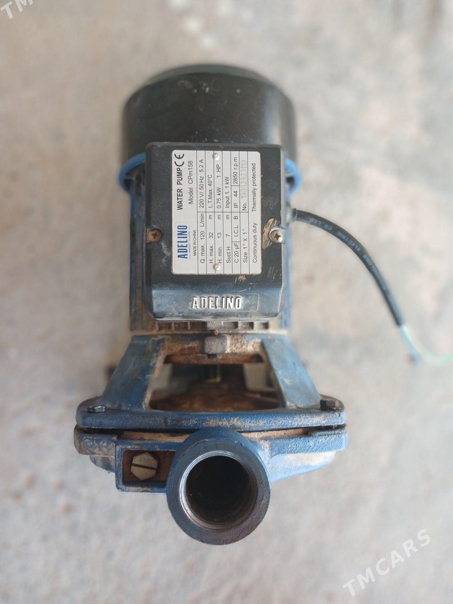 SUW NASOS ADELINO - Mary - img 3