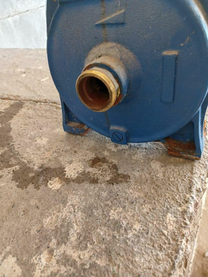 SUW NASOS ADELINO - Mary - img 1