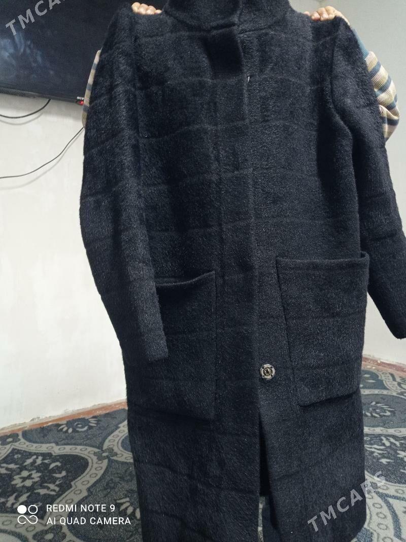 jempir - Köneürgenç - img 1