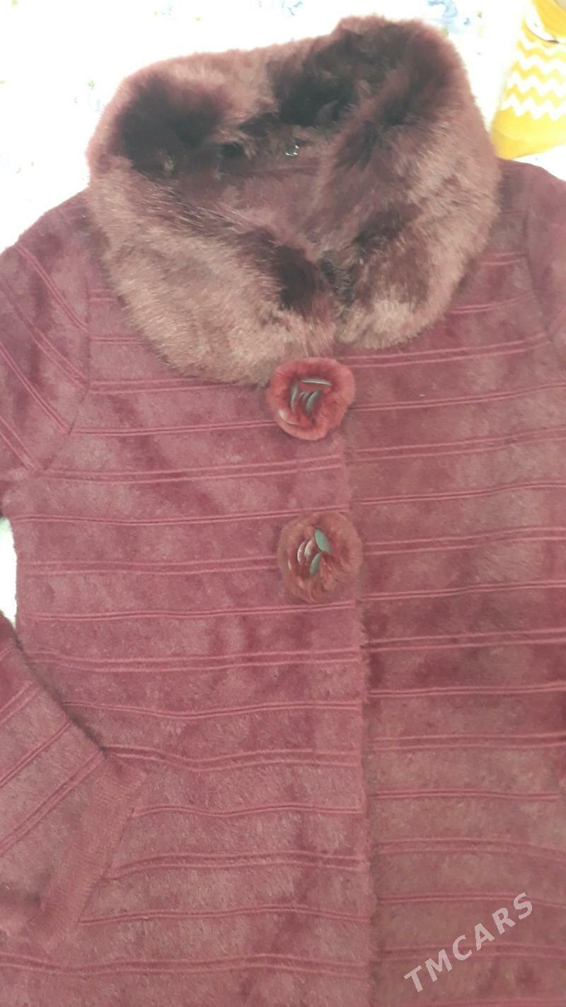 angorka - Türkmenabat - img 2