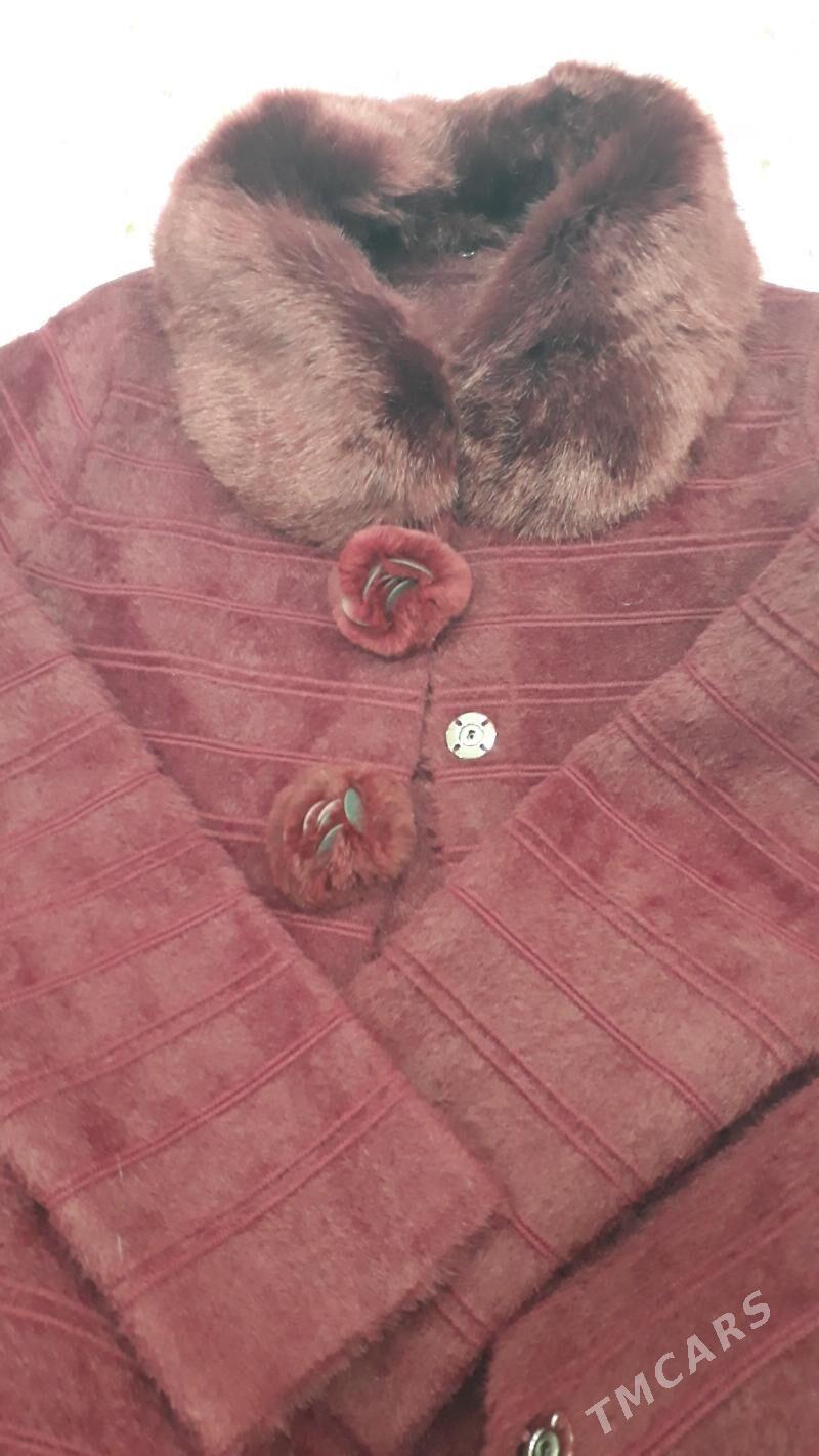 angorka - Türkmenabat - img 1